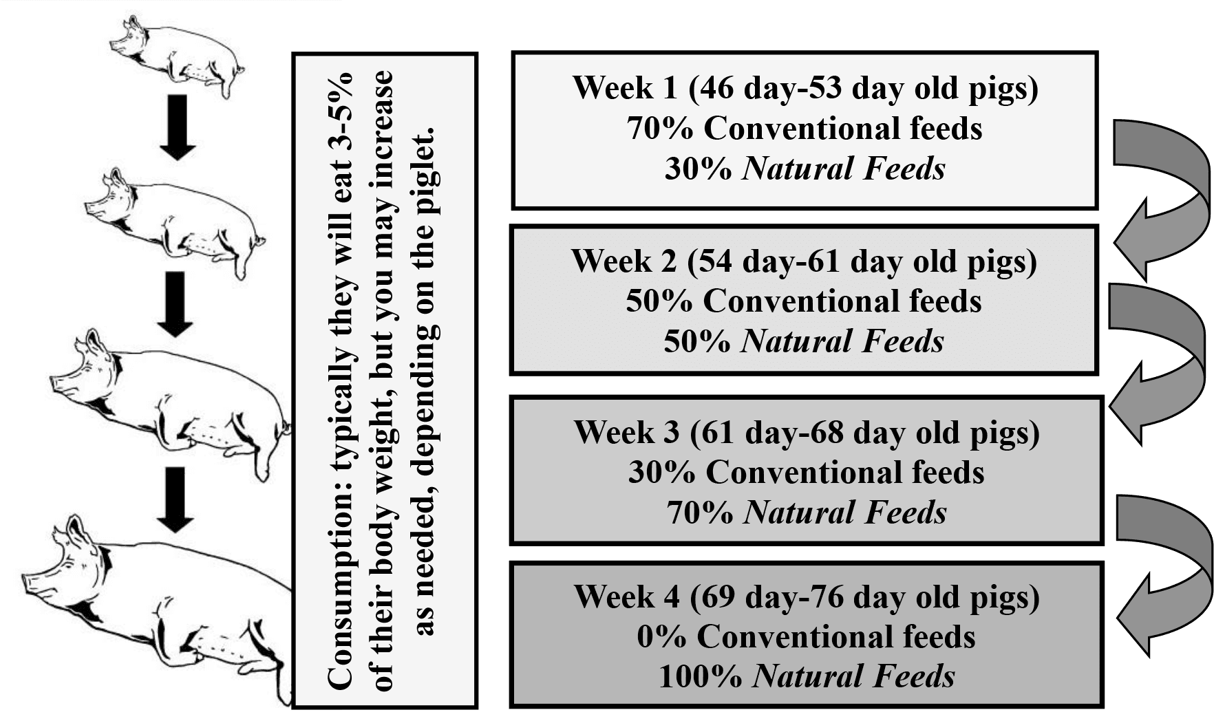 Legacy four-week pig feed transition diagram
